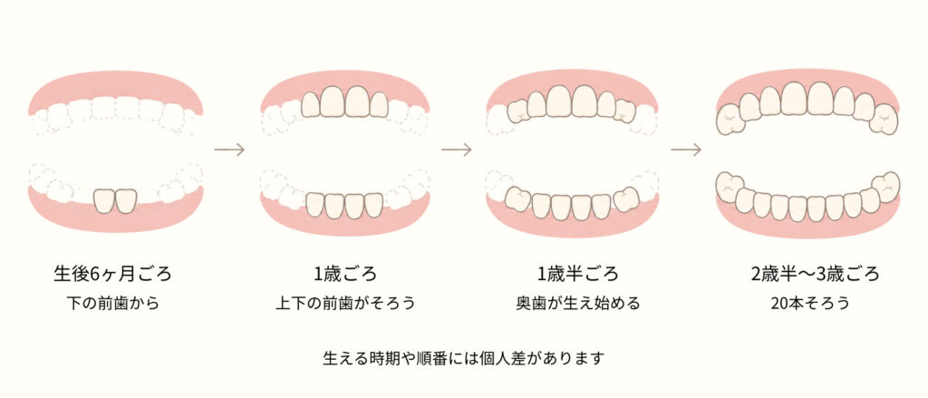 最初の歯が生えたころから、相談できる場所を持っておく