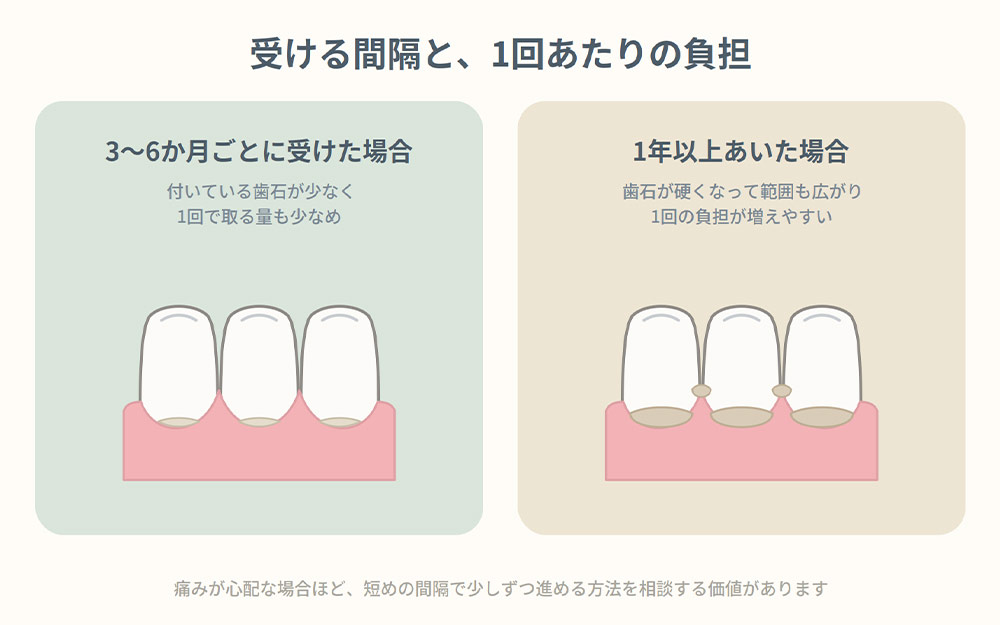 歯石取りはどのくらいの間隔で受けるものか